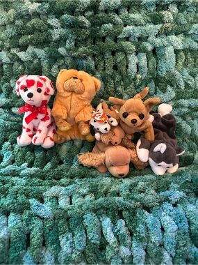 Dog Bundle
